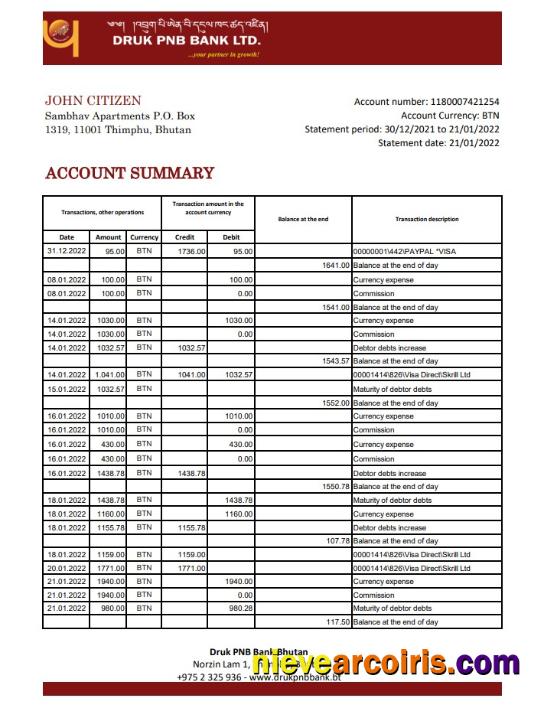 Bhutan Druk PNB bank statement